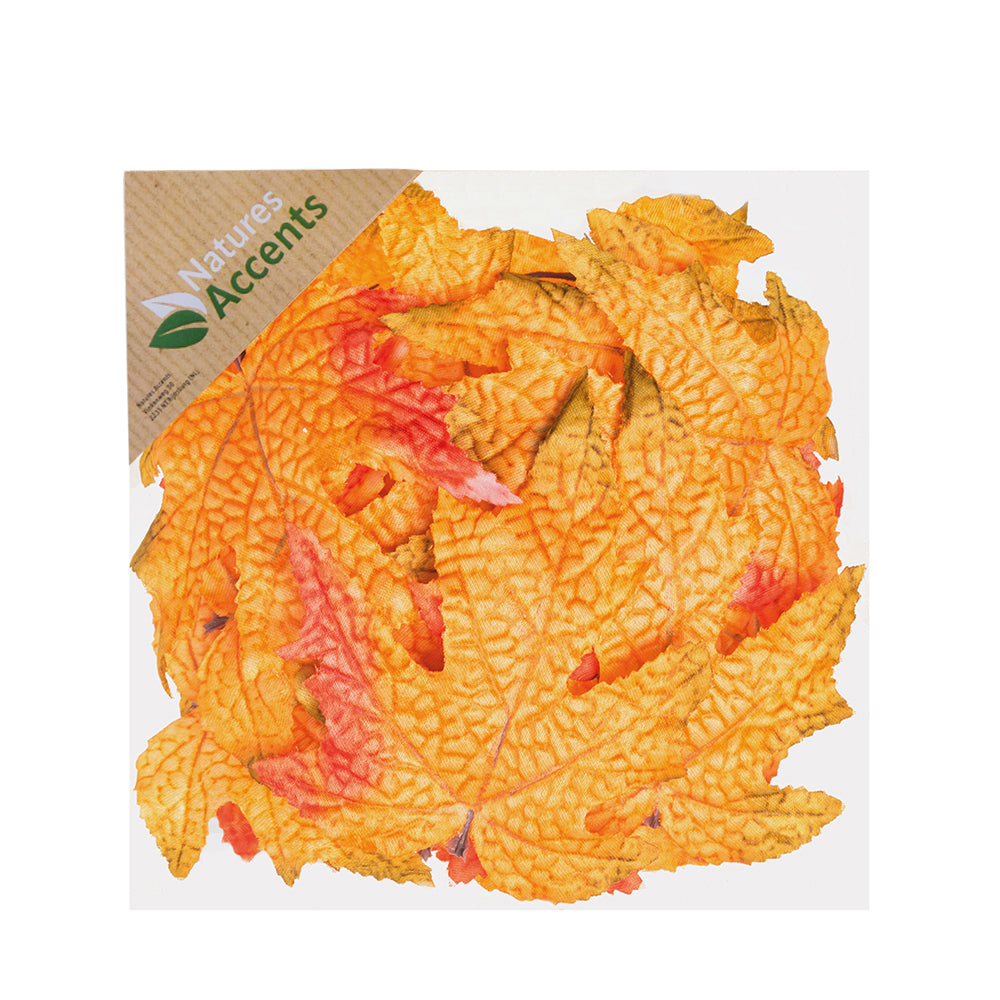 Picks - Autumn Maple Leaves in Box