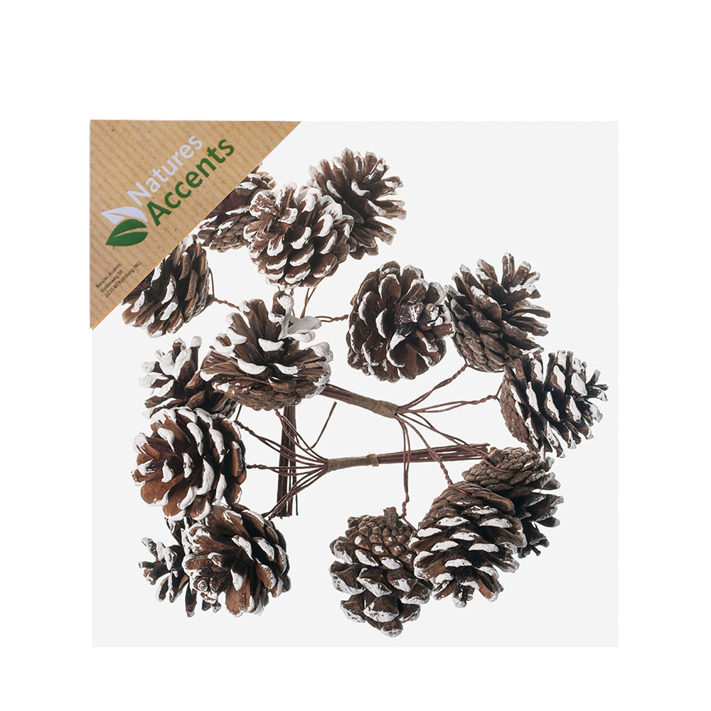 Picks - Pinecones on Wire in Box