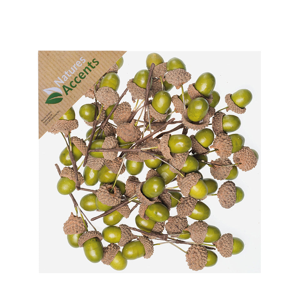 Pick - Acorn Fruit in Box - Green