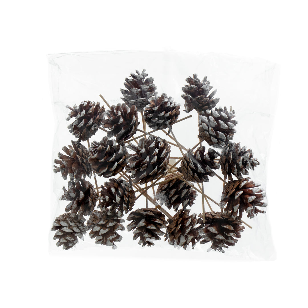 Picks - Pinecones on Sticks