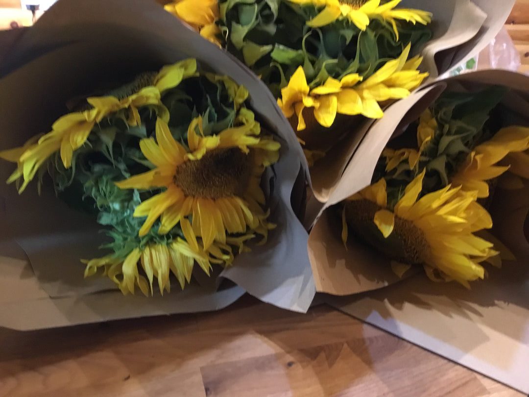 Fresh Products - Sunflowers