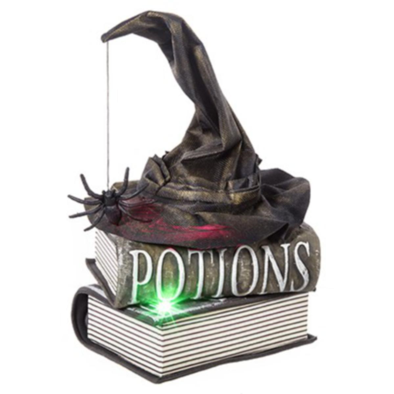 Halloween ~ BO Witches Hat on Books with Sound