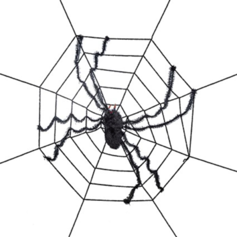 Halloween ~ Spider Web with Spider
