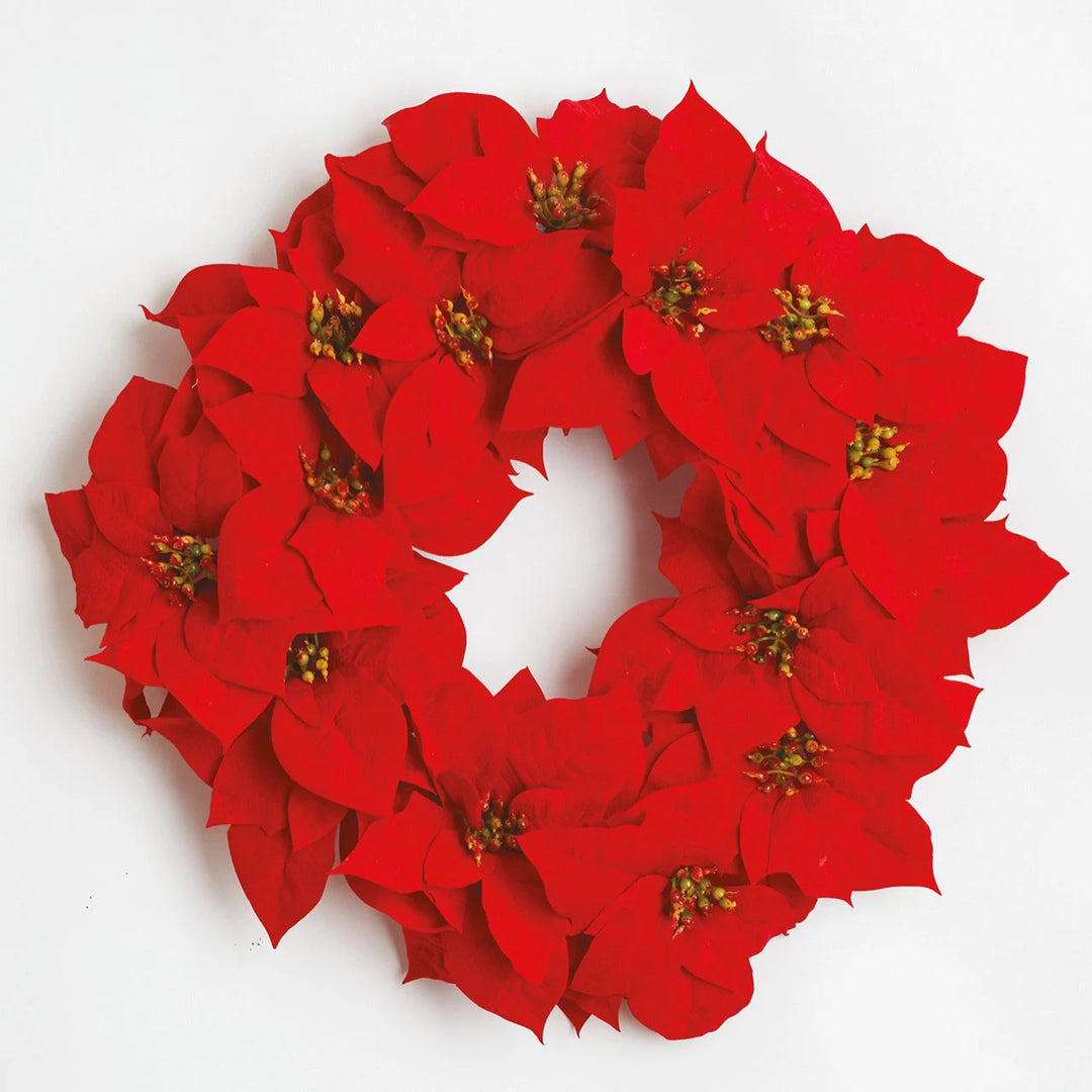 Wreath - Red Velvet Poinsettia