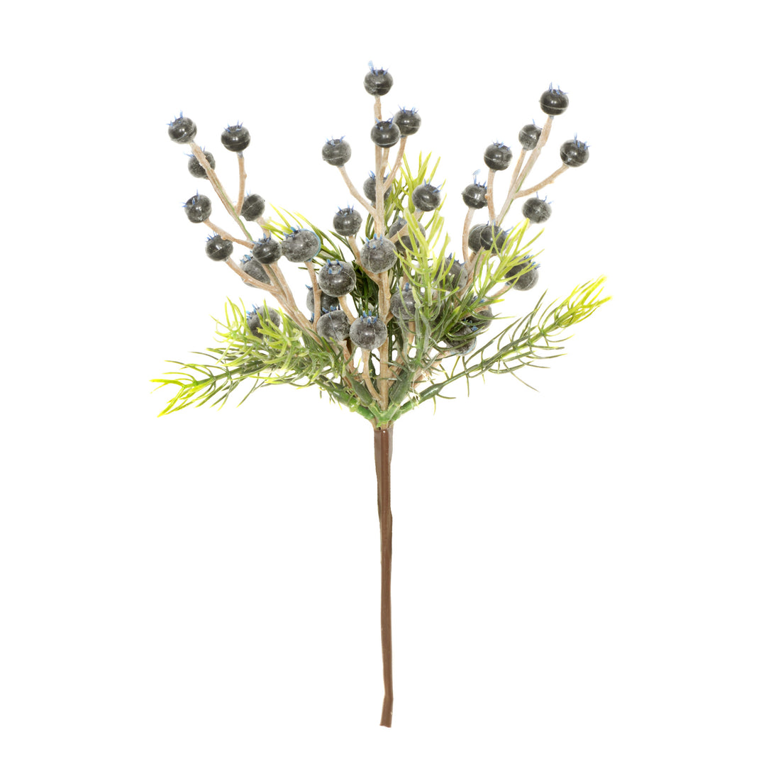 Pick - Blue Berry