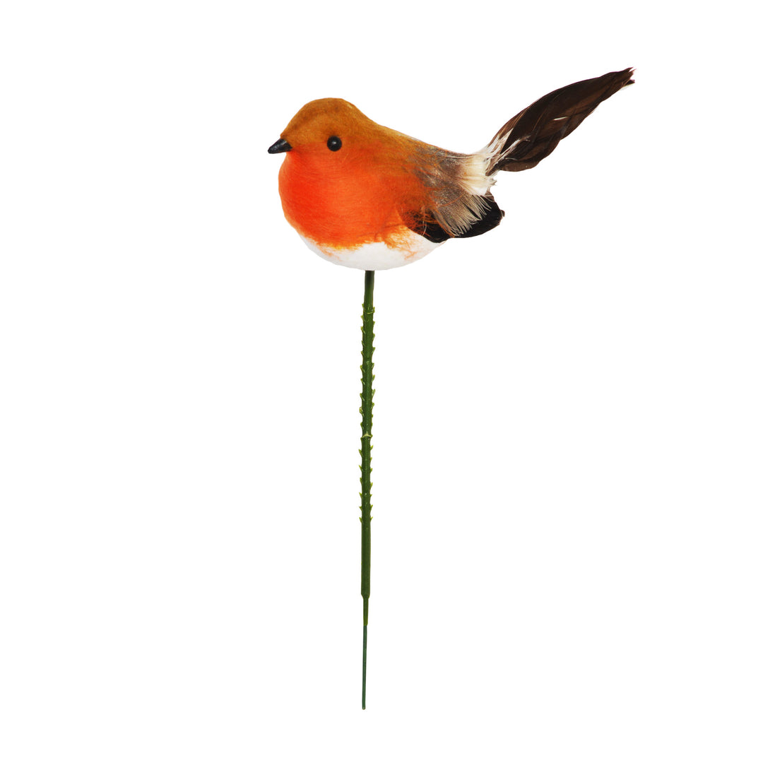 17 CM ROBIN KILKA