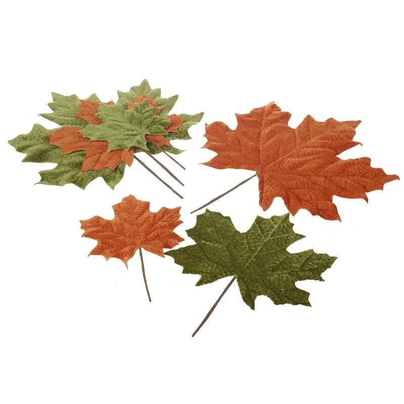Set of Green and Brown Autumnal Leaves