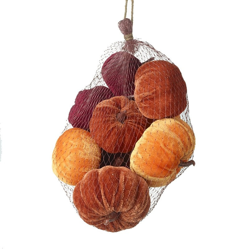Autumn - Net of Velvet Pumpkins