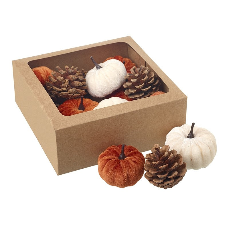 Pumpkins and Pinecones in Box