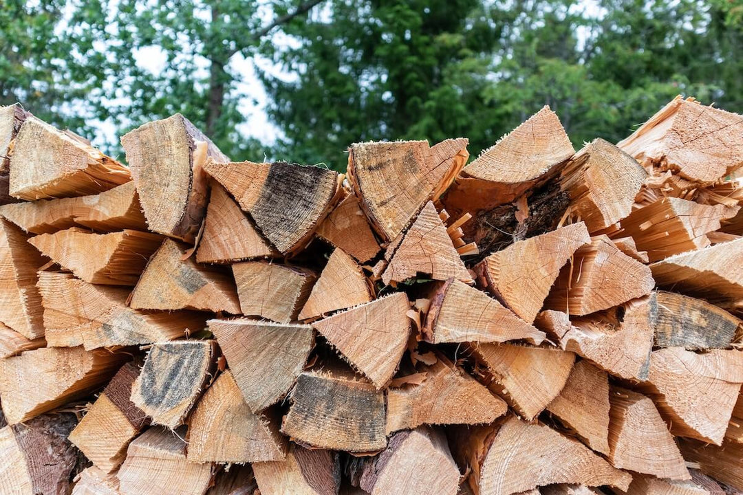 Different types of seasoned firewood