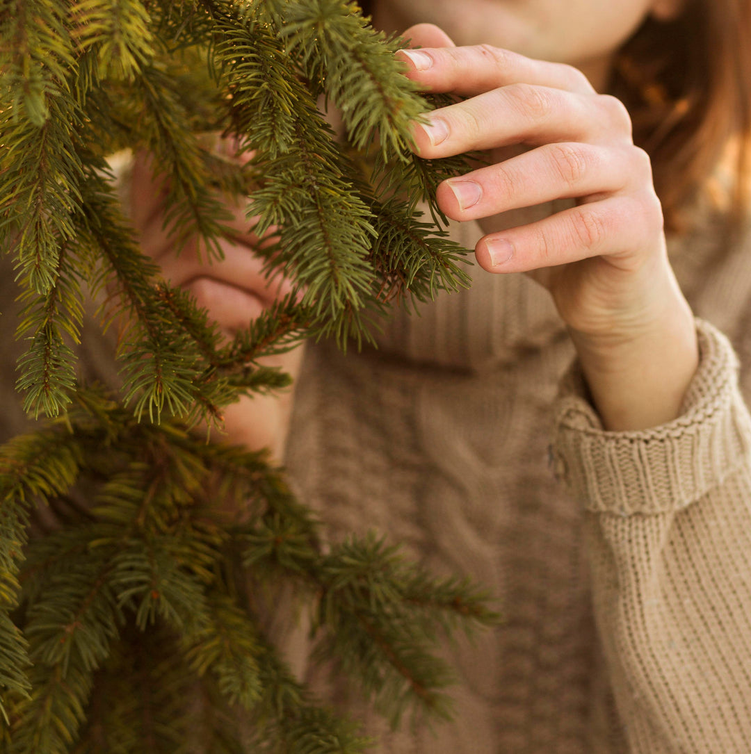 🎄 Get Ready to Pick Your Insta-worthy Christmas at Rainfords Christmas Trees! 🎄