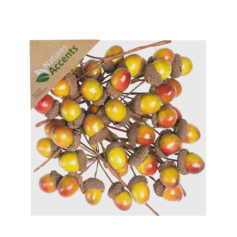 Picks - Acorn Fruit in Box