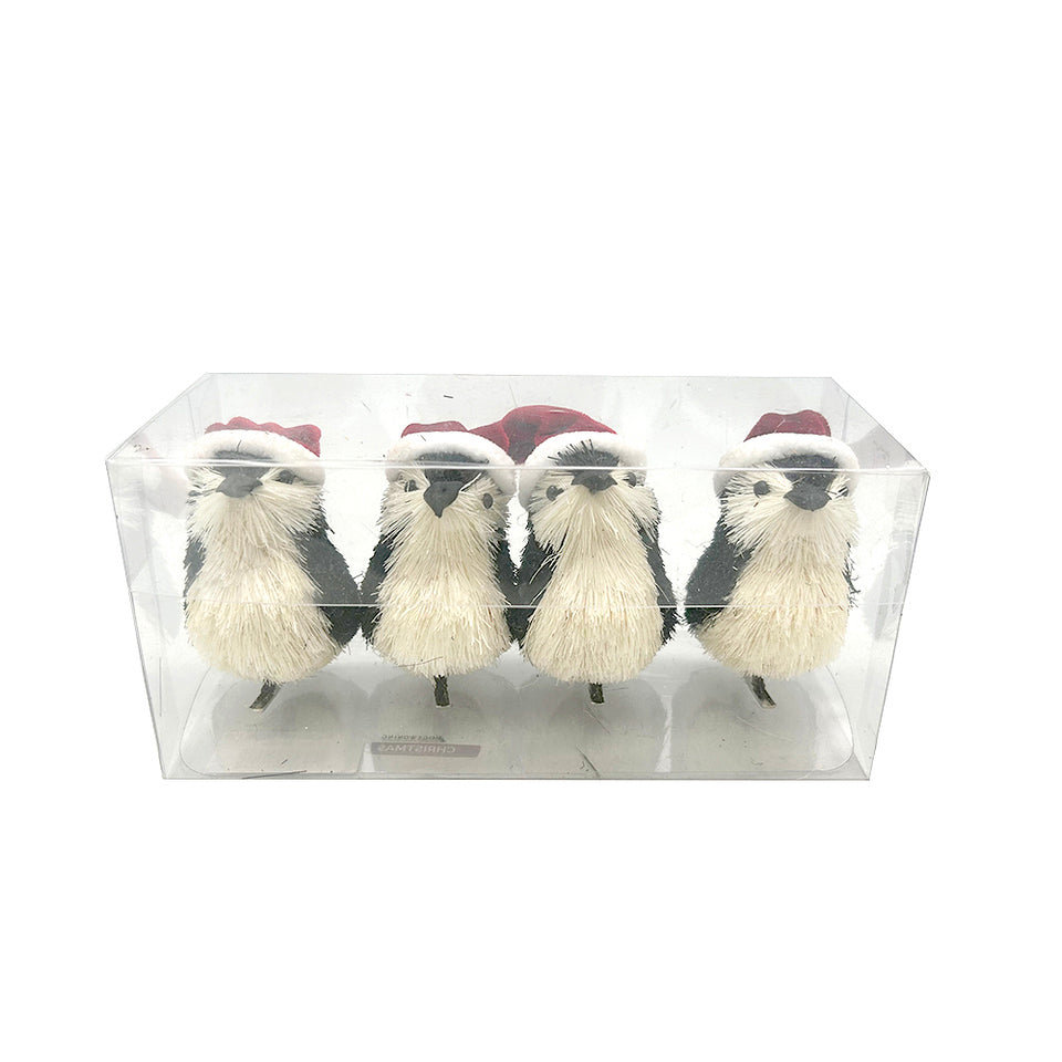 Birds - Various Birds