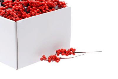 Picks - Red Berry Clusters