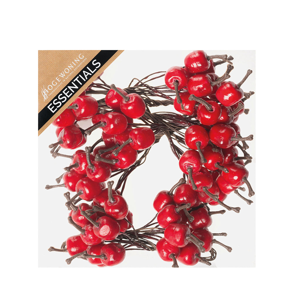 Picks - Mini Apples on Wire