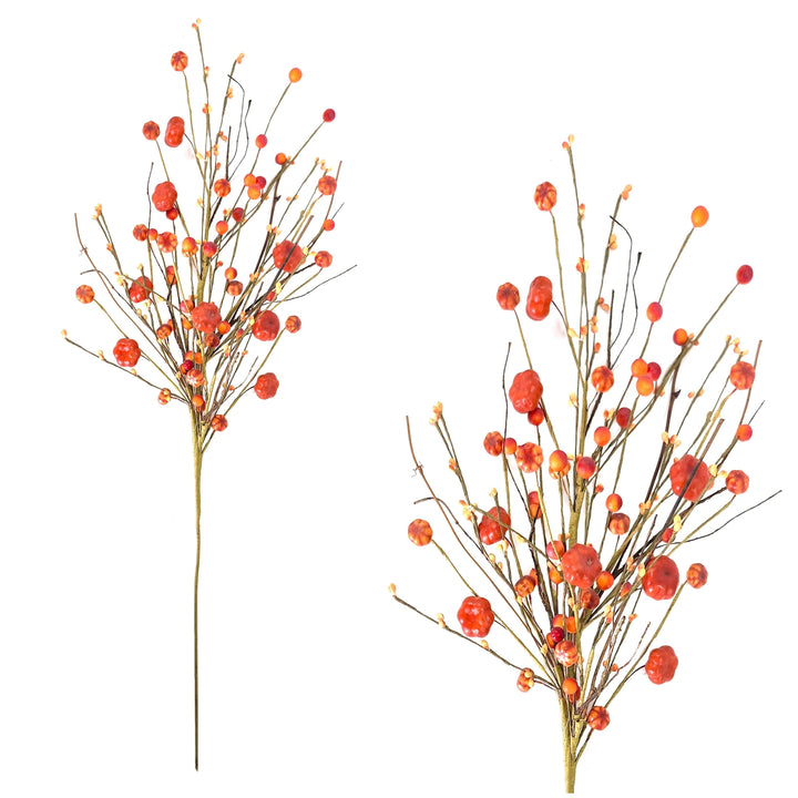 Autumn - Autumn Picks and Stems