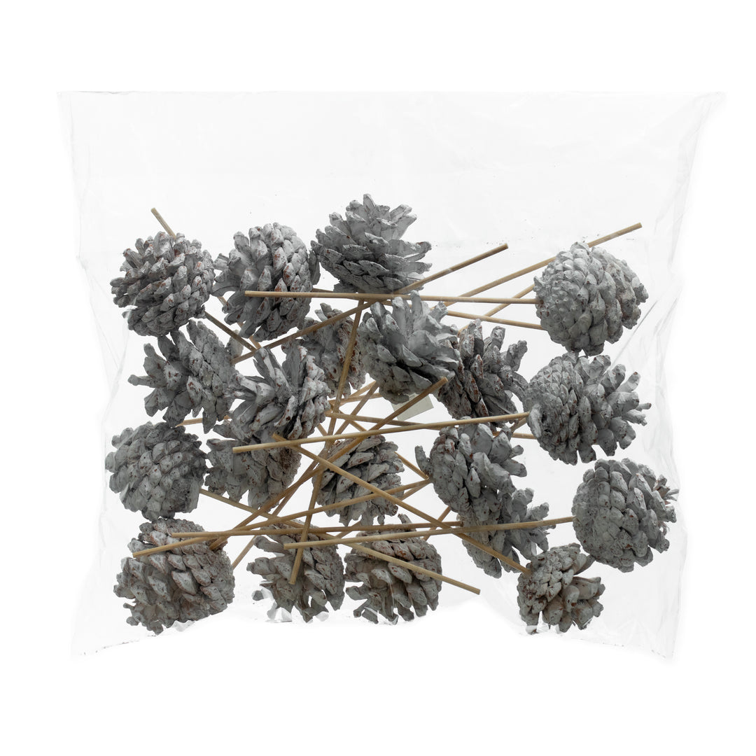Cones - Cones on Sticks