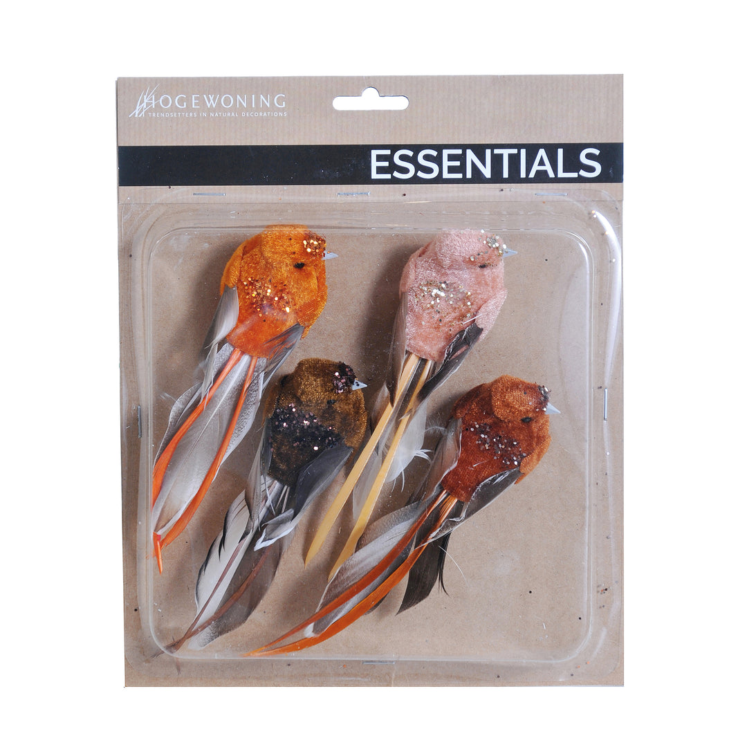 Birds - Various Birds