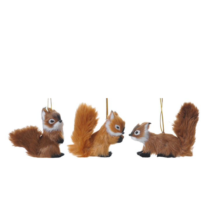 Autumn - Squirrels