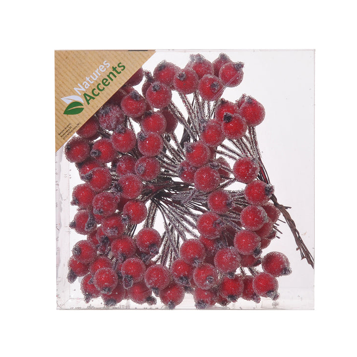 Picks - Frosted /Plain Berries