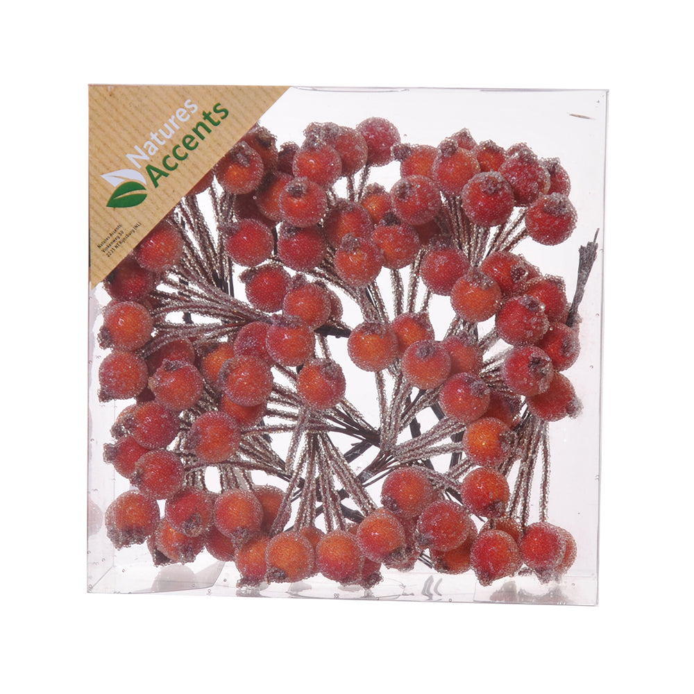 Picks - Autumn Frosted Berries