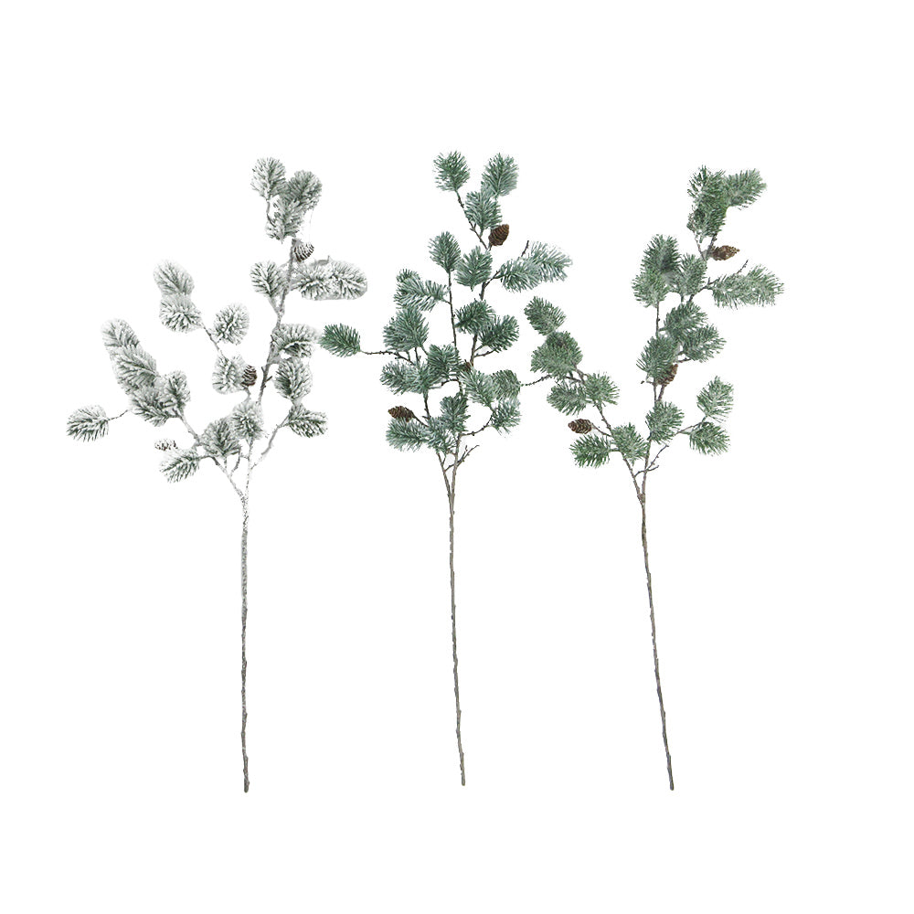Stems - Branch Conifer