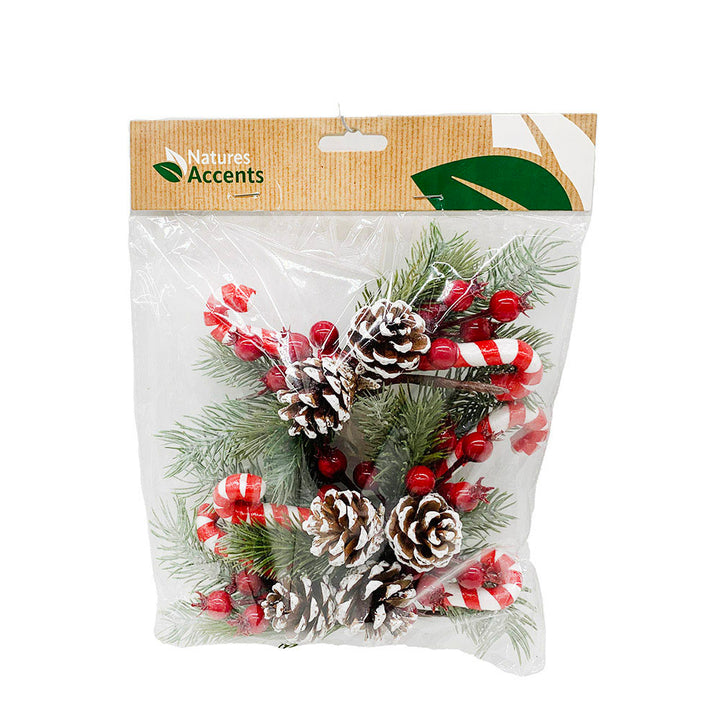 Picks - Mushrooms or Cones &amp; Candy Canes