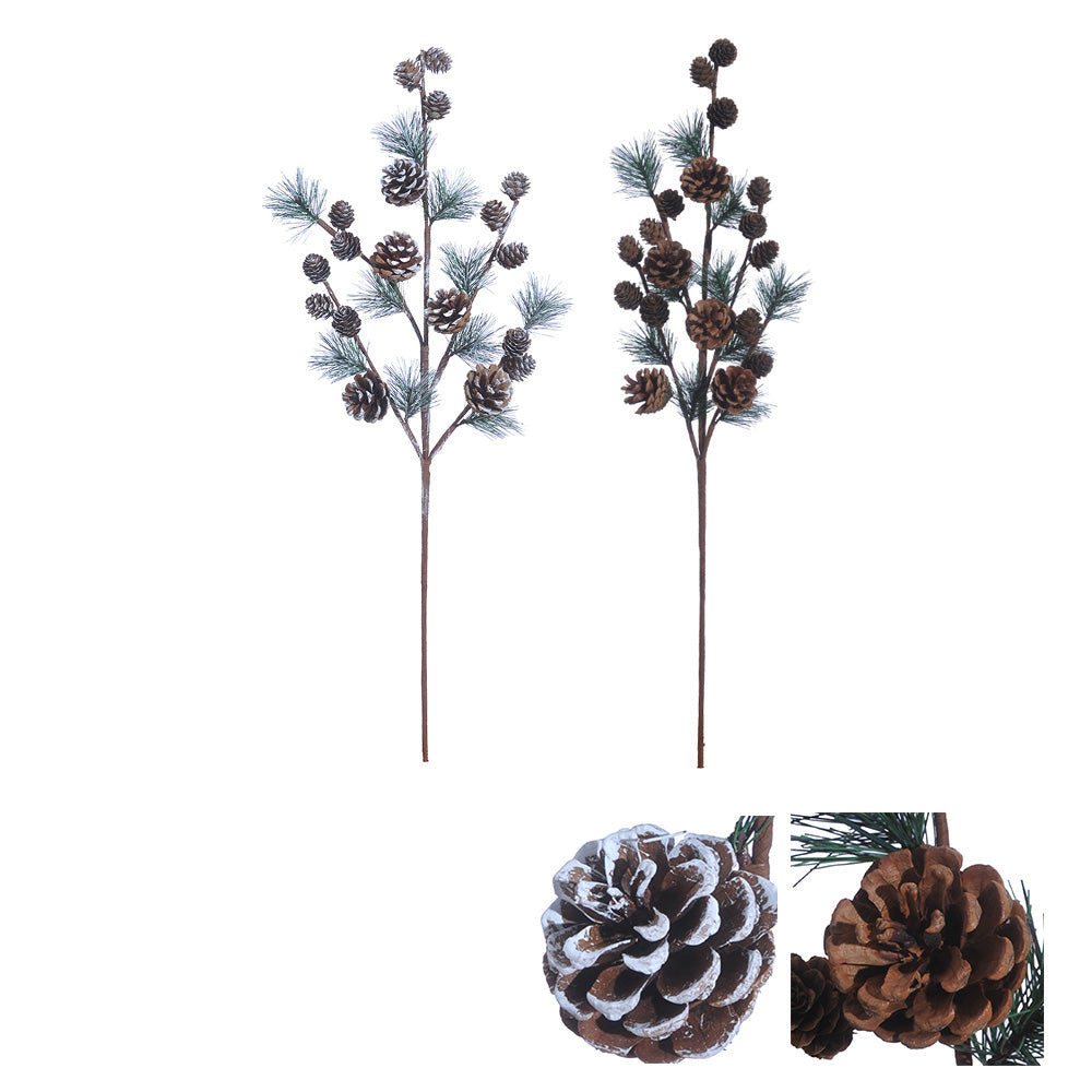 Stem - Pinecone