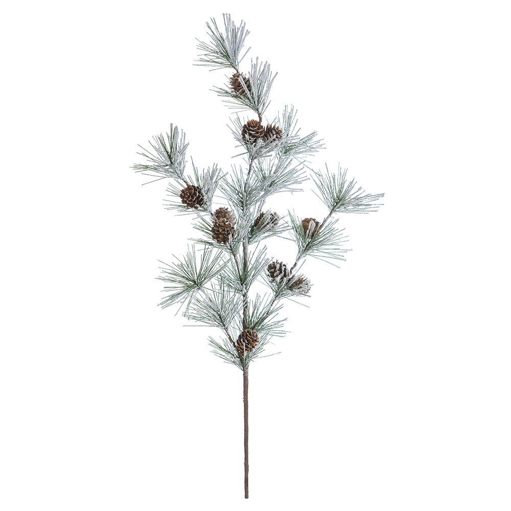 Stem - Branch with Pine Needles