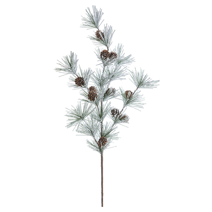 Stem - Branch with Pine Needles