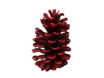 Pinecone Red 17cm