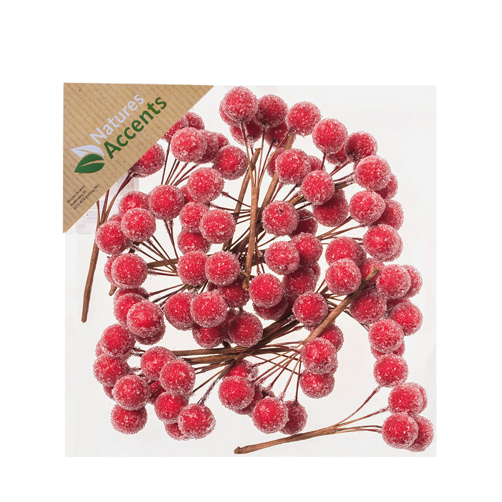 Frosted Berries on Wire in Box