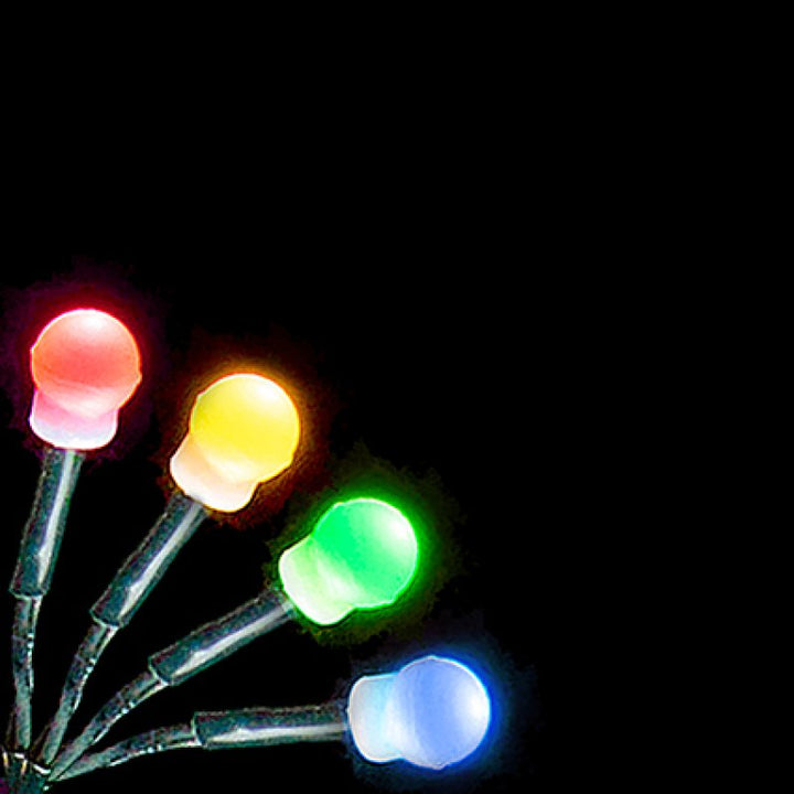 Lights - Berry Cluster Door Garland