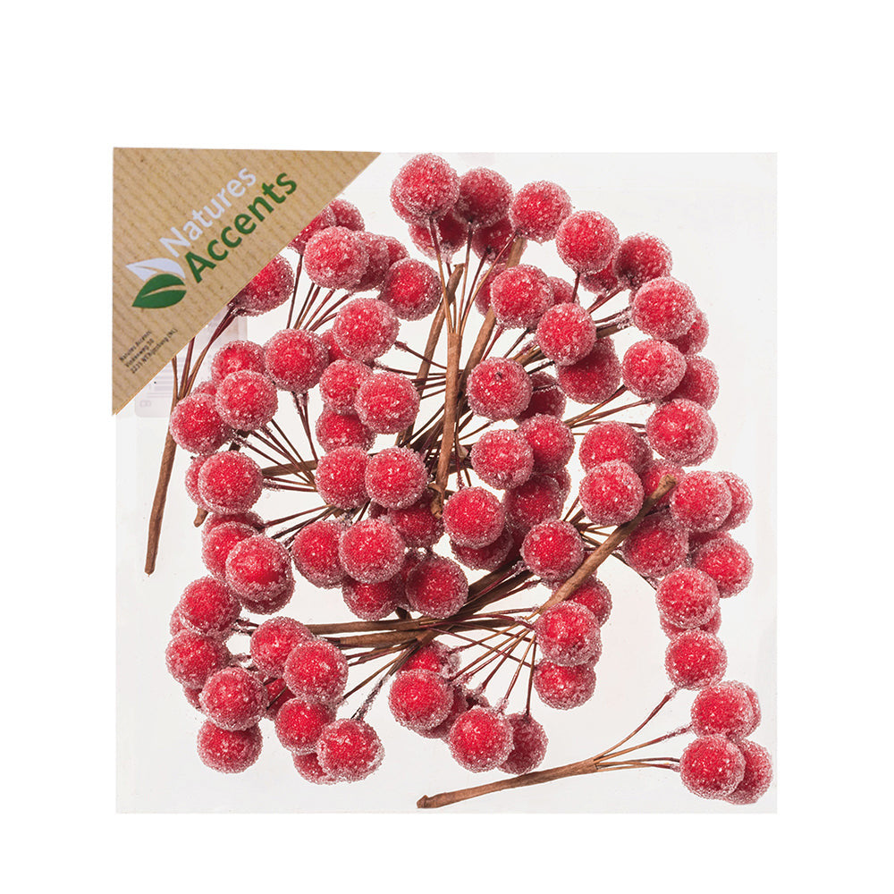 Picks - Frosted /Plain Berries