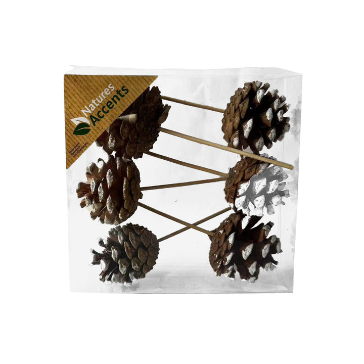 Cones - Cones on Sticks