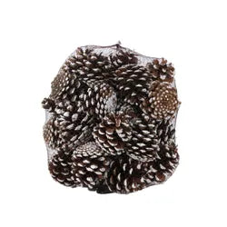 Cones - 1kg Pinus Nigra Cones