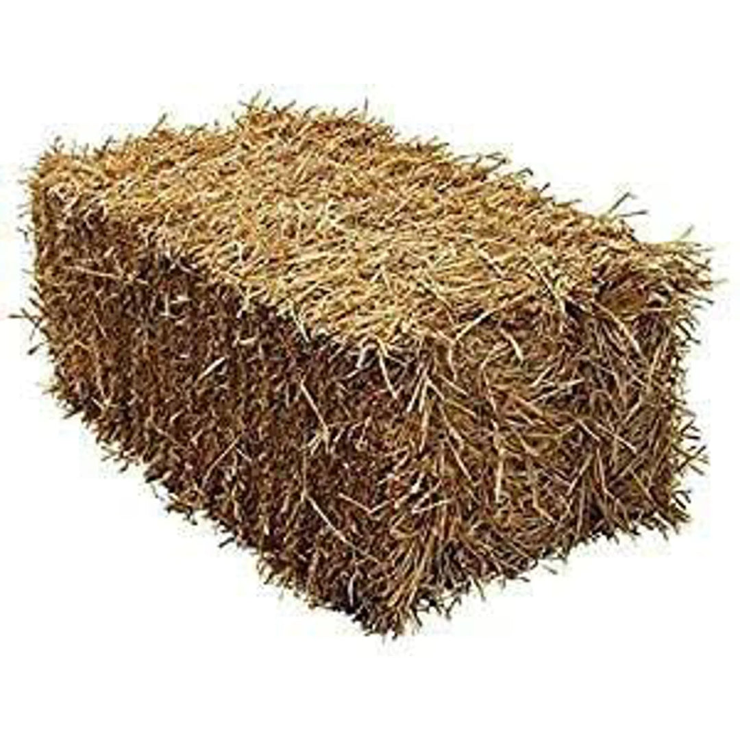 Fresh Product - Bales of Straw