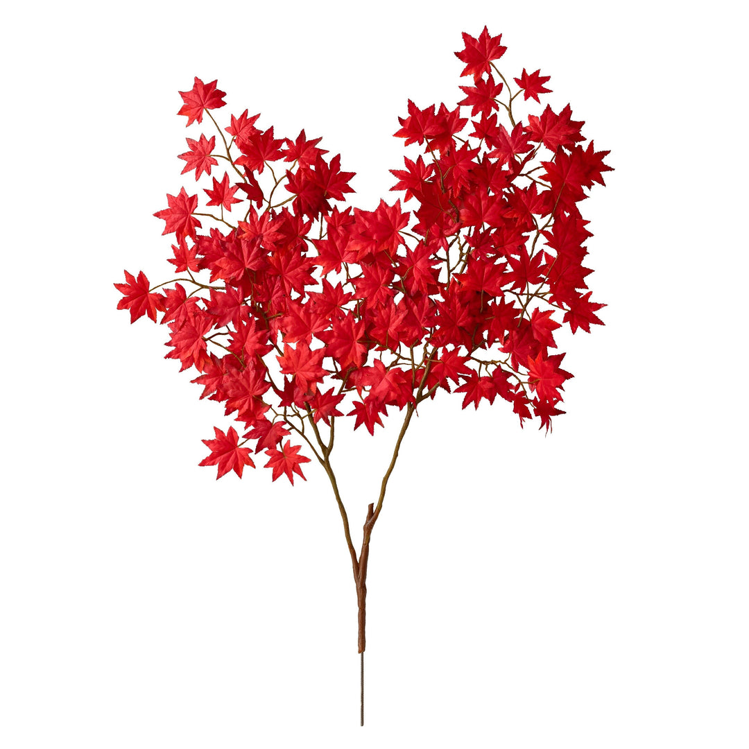 Autumn - Autumn Picks and Stems