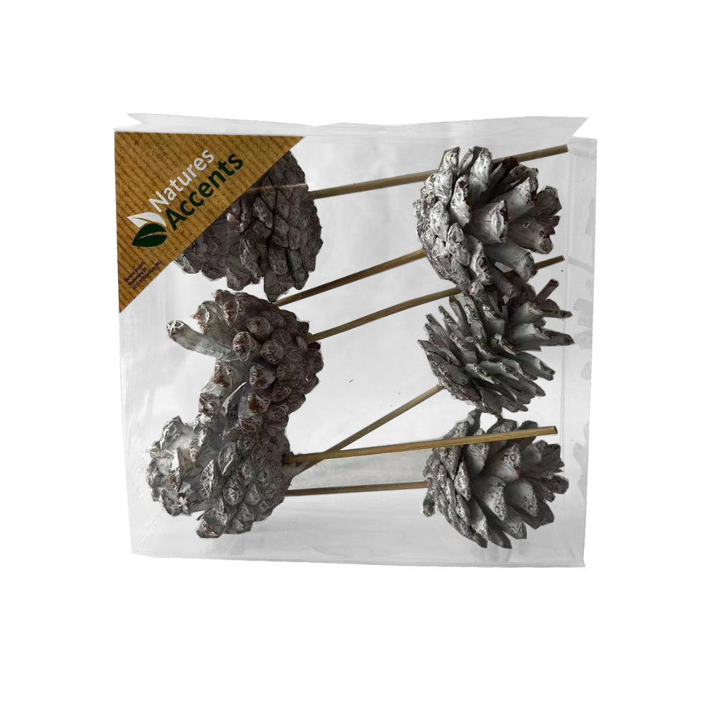 Cones - Cones on Sticks