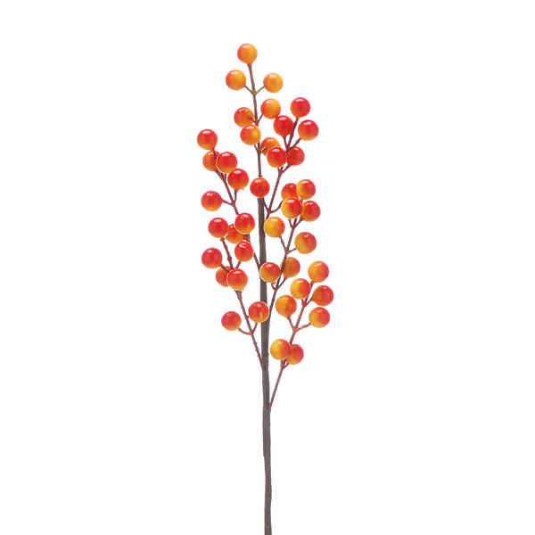 Autumn - Autumn Picks and Stems