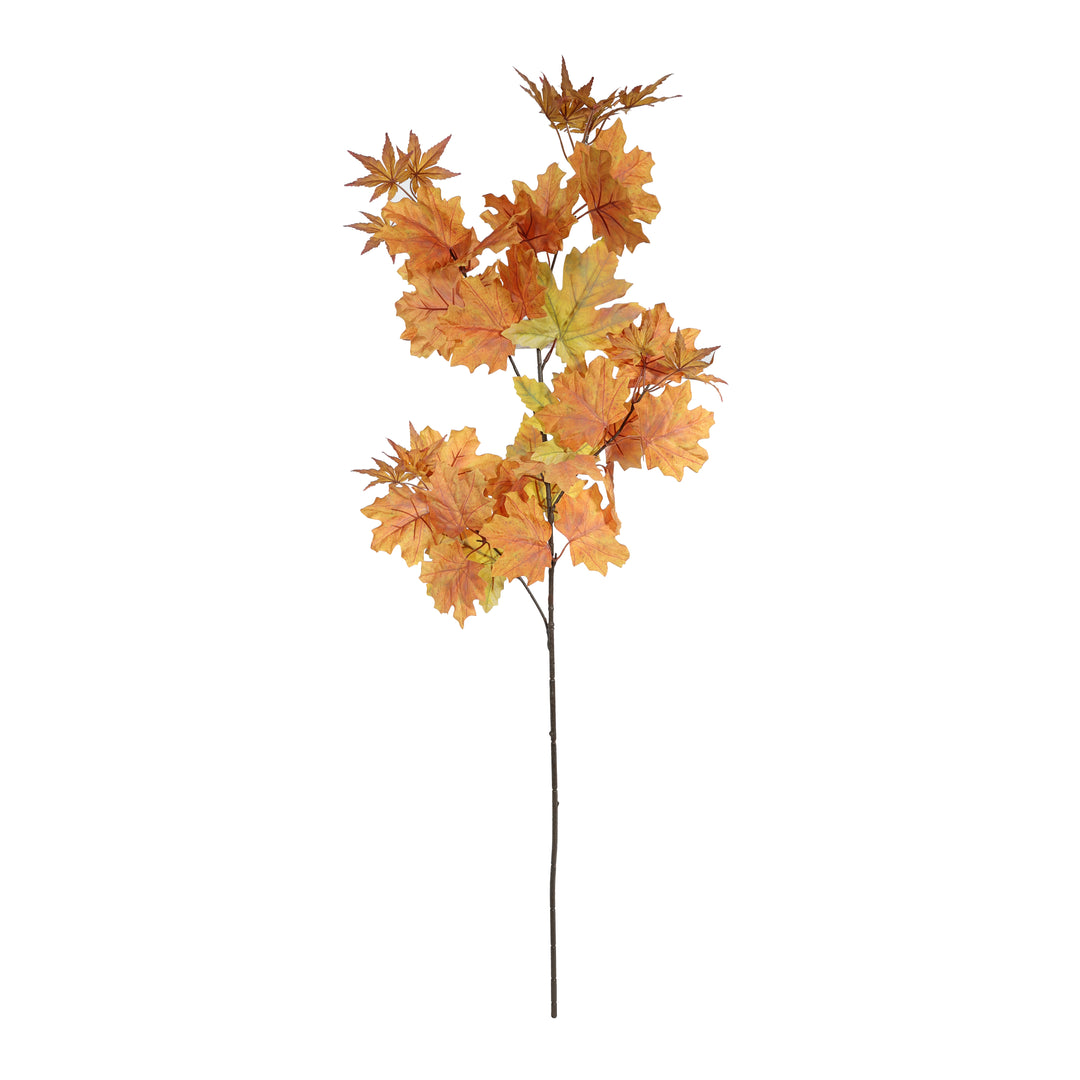 Autumn - Autumn Picks and Stems
