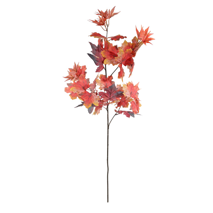Autumn - Autumn Picks and Stems