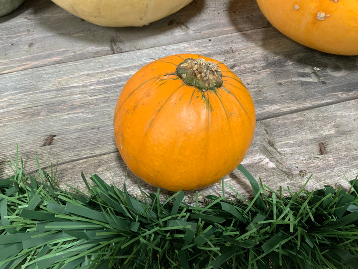 Fresh home grown pumpkins