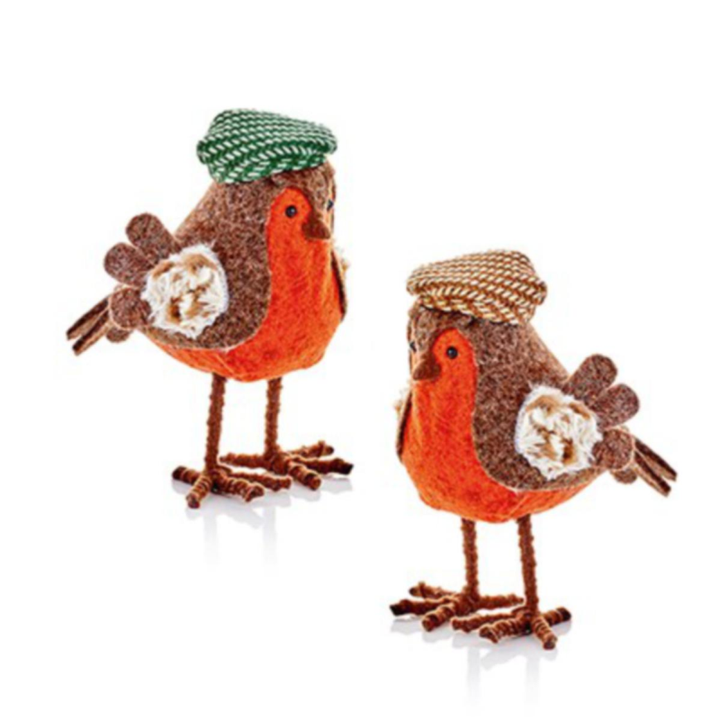 Robins in Hats or EarMuffs