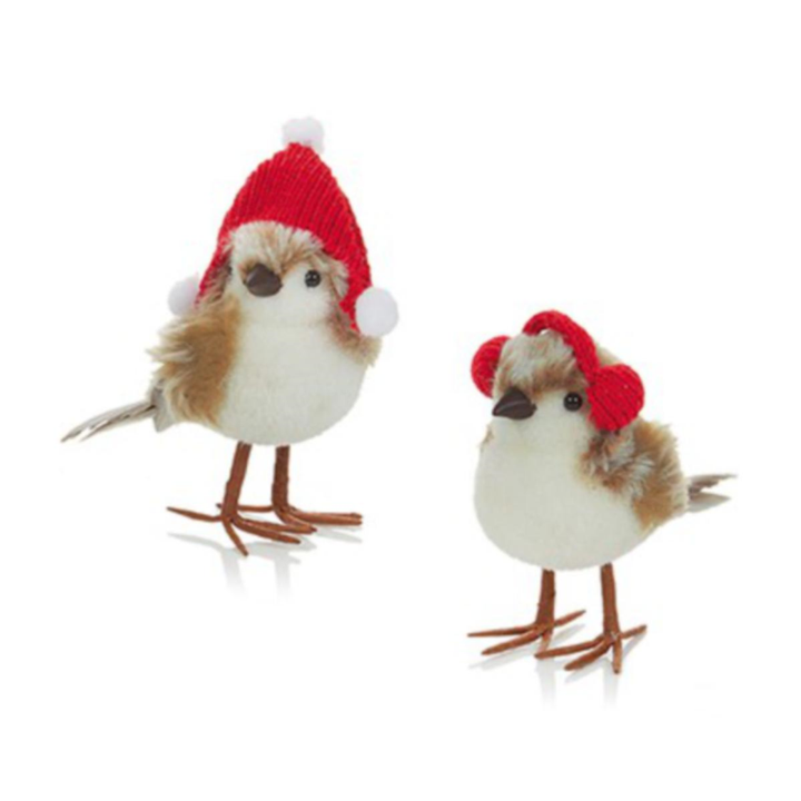 Robins in Hats or EarMuffs