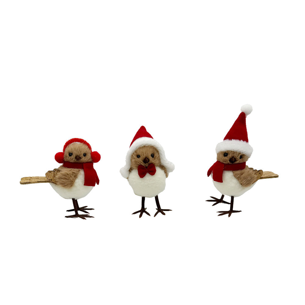 Birds - Various Birds