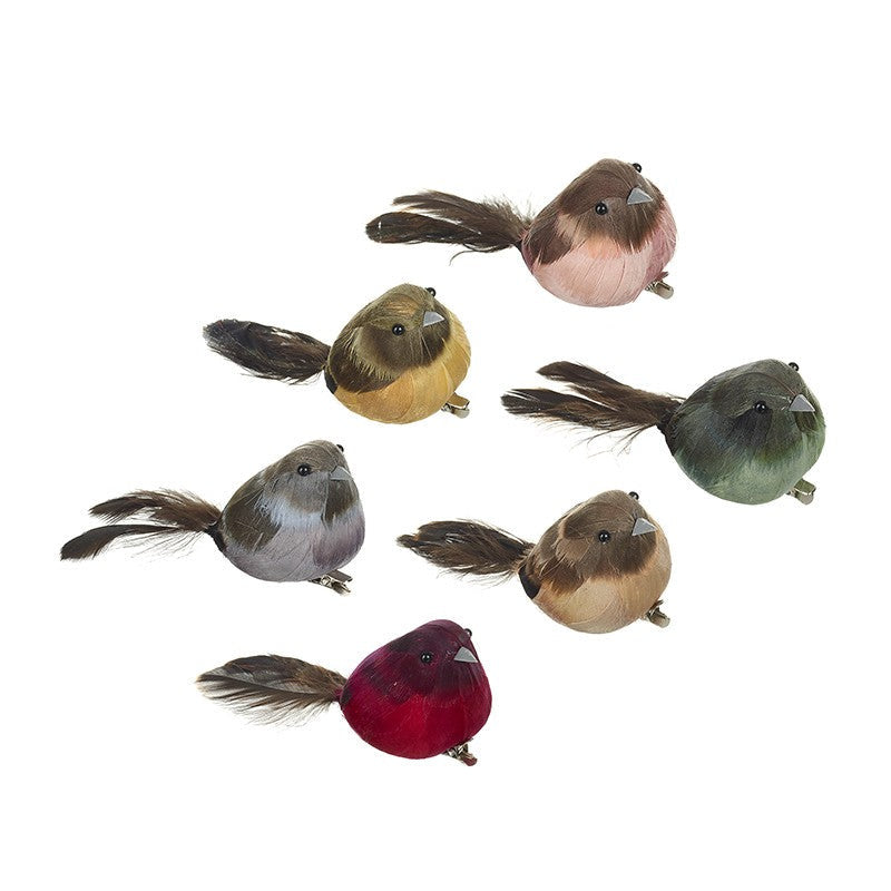 Birds - Various Birds