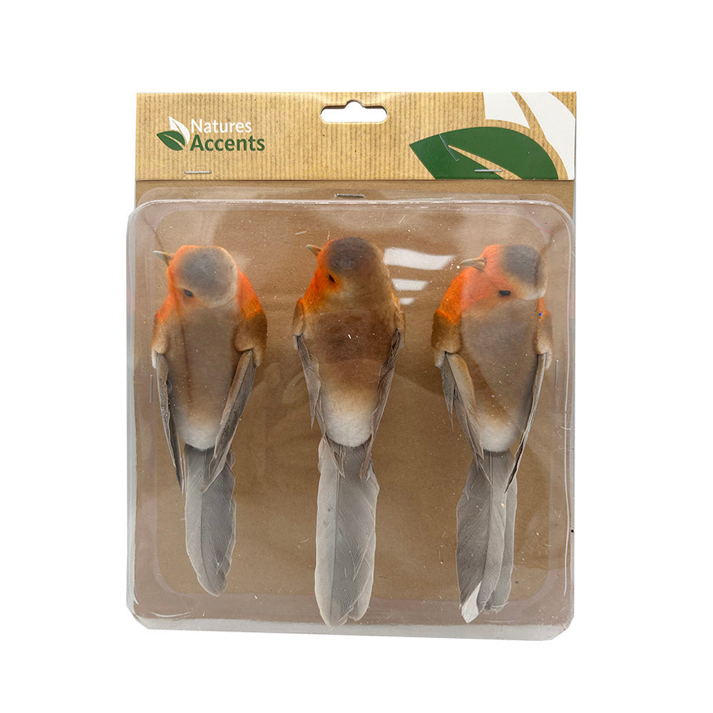 Birds - Various Birds