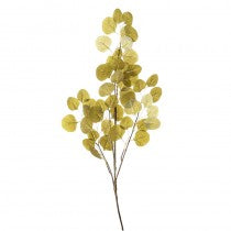 Spray - Eucalyptus