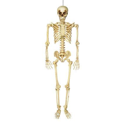 Halloween - Hanging Skeleton